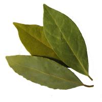 Bobkový list celý exclusive tříděný