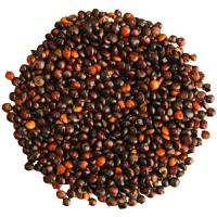 Quinoa černá