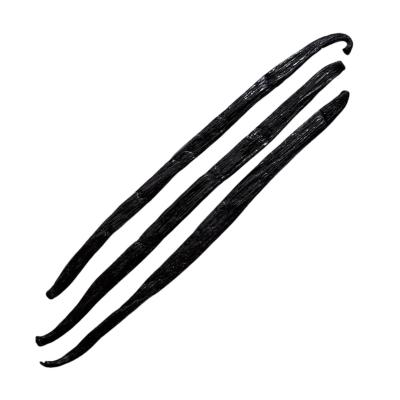 Vanilka lusk 17-20cm Madagaskar